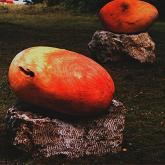 plody - objekt - detail, Vyšné Ružbachy, dřevo, travertín